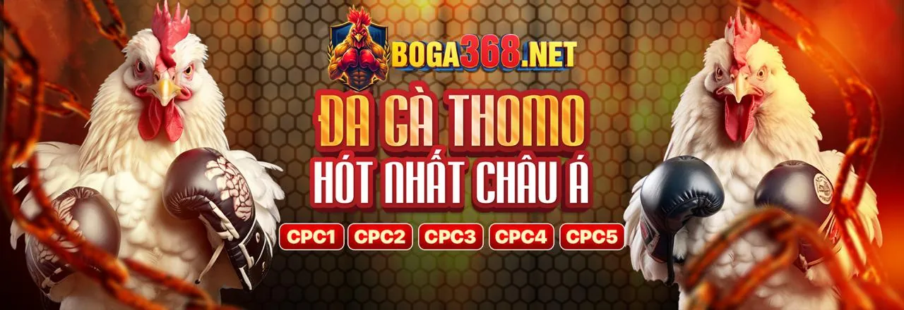 Hình ảnh Câu Lạc Bộ VIP betvnd9 khuyến mãi với các ưu đãi độc quyền