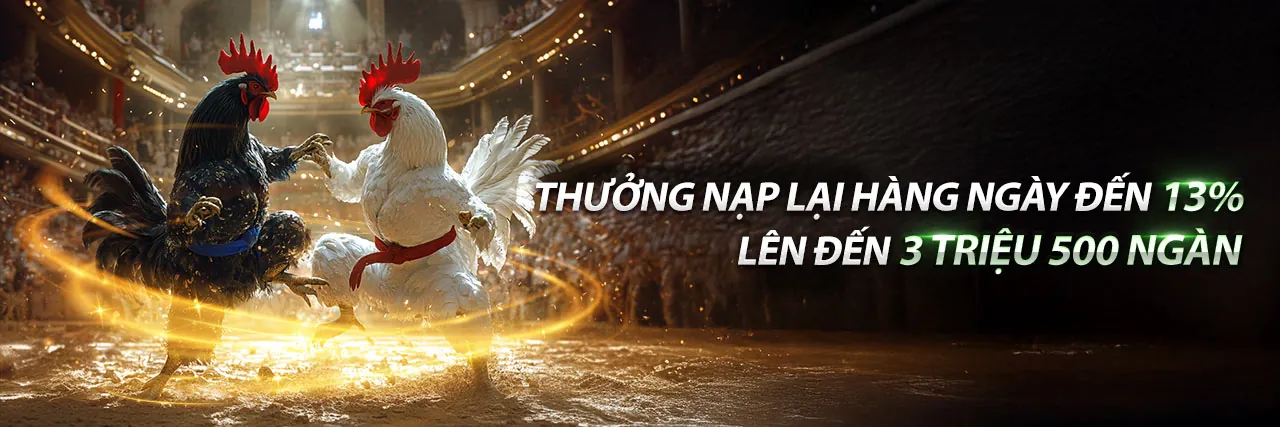 Hình ảnh hỗ trợ khách hàng betvnd9 khuyến mãi