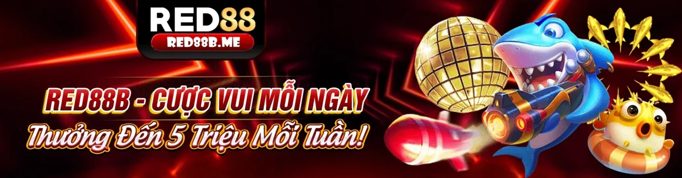 Hình ảnh Chính sách Bảo mật của betvnd9 khuyến mãi